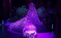 深圳活動策劃看過來：這些發布會值得關注