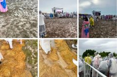 暴雨中舉辦的超級芒果音樂節