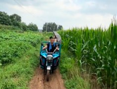 City不city？坐著三輪穿過玉米地參加音樂節