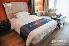 嵐圖汽車新車發布會變成大型“演唱會”