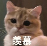 羨慕以前的活動圈！預算20w，加到100w