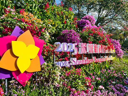 蓮花山花展如何“撐起”那一片藝術天空？