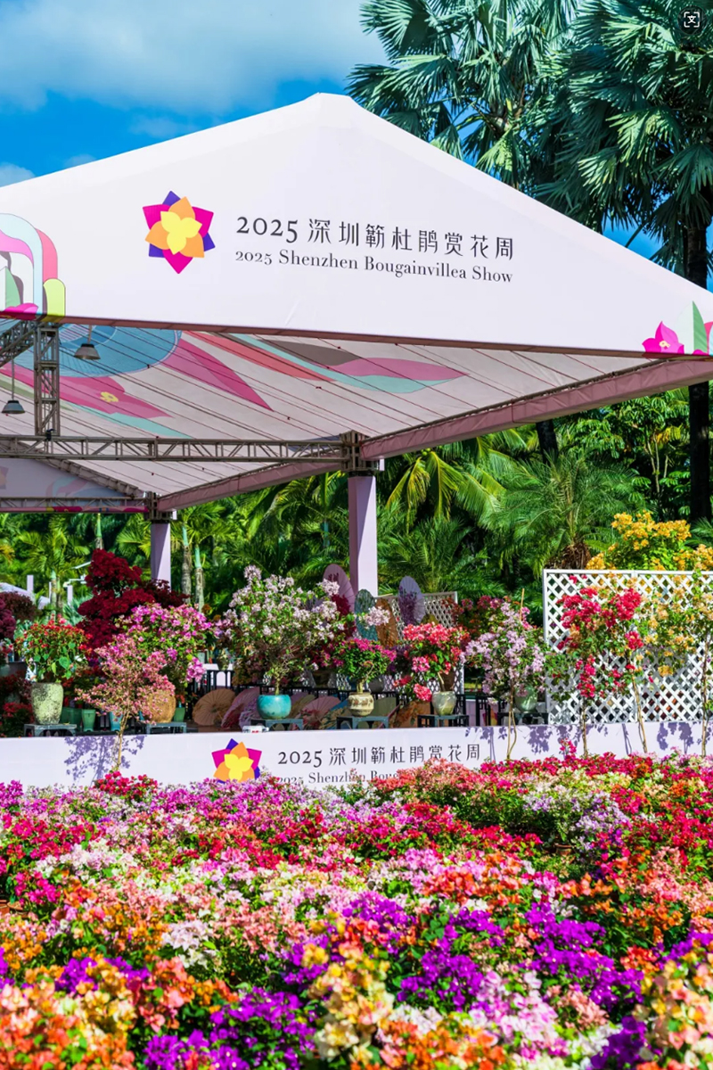 蓮花山花展如何“撐起”那一片藝術天空？