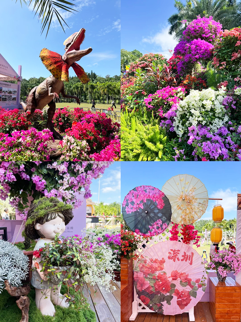 蓮花山花展如何“撐起”那一片藝術天空？
