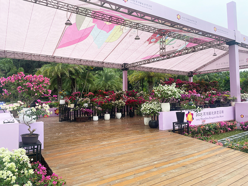 蓮花山花展如何“撐起”那一片藝術天空？