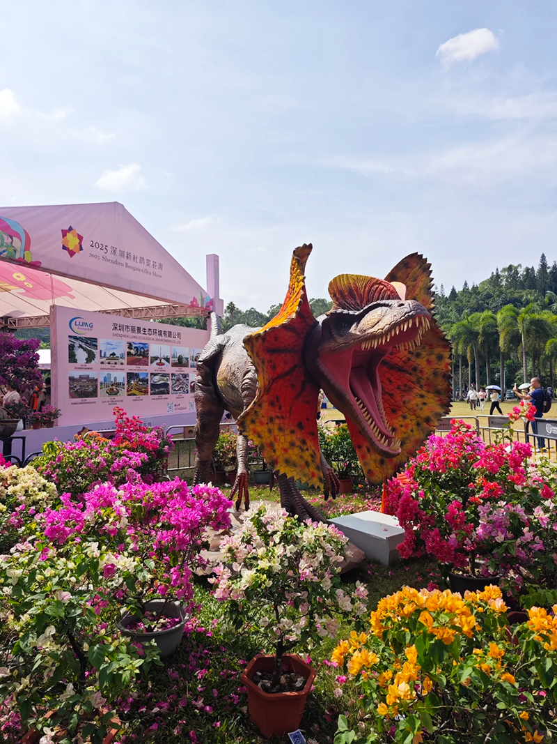 蓮花山花展如何“撐起”那一片藝術天空？
